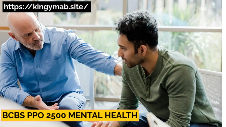  BCBS PPO 2500 Mental Health 