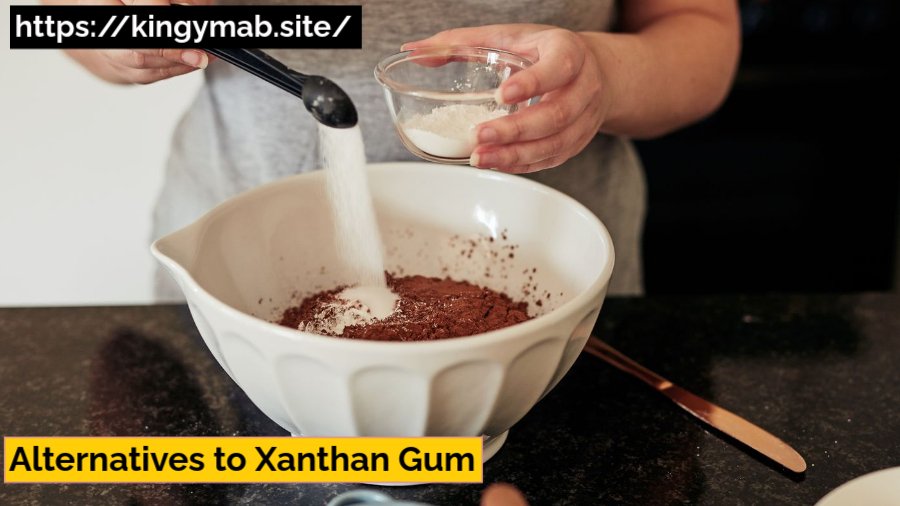 Alternatives to Xanthan Gum