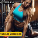 adductor muscles exercises