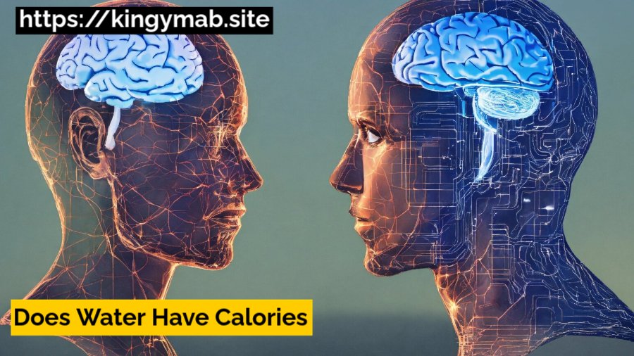 Does Water Have Calories